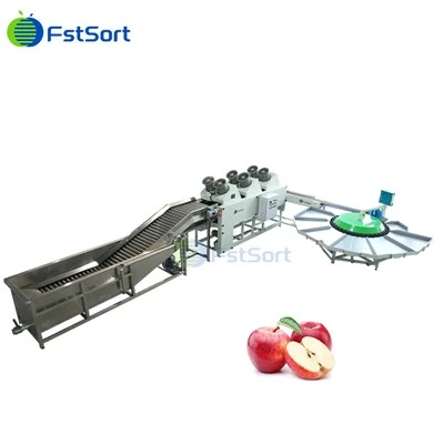 Otomatik Elma Meyve Sınıflandırma Makinesi Yüksek Verimli Küçük Elma Dairesel Ağırlık Ayırıcı